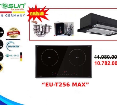 COMBO BẾP TỪ ĐÔI EUROSUN EU-T256MAX